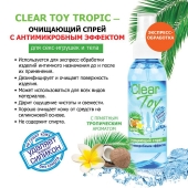 Очищающий спрей для игрушек CLEAR TOY Tropic - 100 мл. - Биоритм - купить с доставкой в Новошахтинске