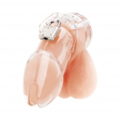 Прозрачная клетка целомудрия Acrylic See-thru Chastity Cage - BlueLine - купить с доставкой в Новошахтинске