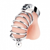 Серебристая клетка для члена Urethral Play Cage - BlueLine - купить с доставкой в Новошахтинске