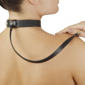 Зеленый меховой ошейник с кожаным поводком - Sitabella - купить с доставкой в Новошахтинске