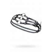 Черный кожаный пояс с кольцами - Pecado - купить с доставкой в Новошахтинске