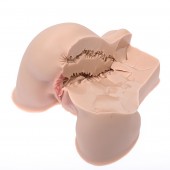 Мастурбатор-полуторс Naked Factory Kate - Naked Factory - в Новошахтинске купить с доставкой