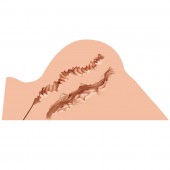 Мастурбатор-полуторс Naked Factory Hannah - Naked Factory - в Новошахтинске купить с доставкой