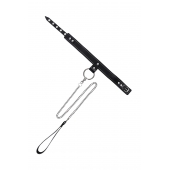 Черный узкий однослойный ошейник с серебристым поводком-цепочкой - Pecado - купить с доставкой в Новошахтинске