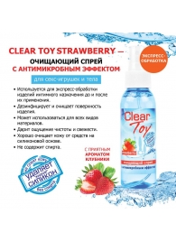 Очищающий спрей для игрушек CLEAR TOY Strawberry - 100 мл. - Биоритм - купить с доставкой в Новошахтинске