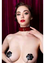 Красный ошейник из лакированного материала - ToyFa - купить с доставкой в Новошахтинске