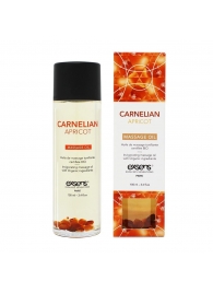 Органическое массажное масло CARNELIAN APRICOT - 100 мл. - Exsens - купить с доставкой в Новошахтинске