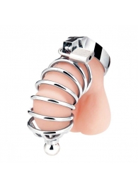 Серебристая клетка для члена Urethral Play Cage - BlueLine - купить с доставкой в Новошахтинске