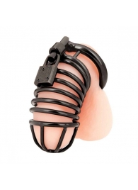 Черная металлическая клетка с замком Deluxe Chastity Cage - BlueLine - купить с доставкой в Новошахтинске