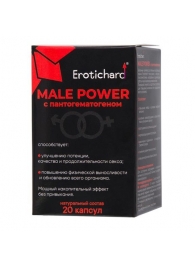 Капсулы для мужчин Erotichard male power с пантогематогеном - 20 капсул (0,370 гр.) - Erotic Hard - купить с доставкой в Новошахтинске