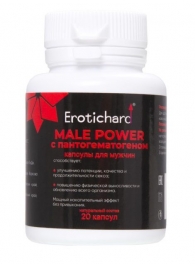 Капсулы для мужчин Erotichard male power с пантогематогеном - 20 капсул (0,370 гр.) - Erotic Hard - купить с доставкой в Новошахтинске