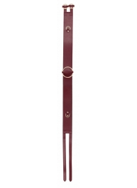 Бордовый ремень Halo Waist Belt - размер L-XL - Shots Media BV - купить с доставкой в Новошахтинске