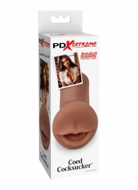 Мастурбатор-ротик Coed Cocksucker - Pipedream - в Новошахтинске купить с доставкой