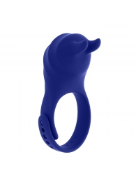 Синее эрекционное виброкольцо с клиторальной подушечкой и пультом ДУ Adjustable Fun Ring - Zero Tolerance - в Новошахтинске купить с доставкой