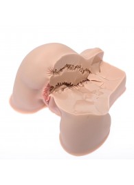 Мастурбатор-полуторс Naked Factory Kate - Naked Factory - в Новошахтинске купить с доставкой