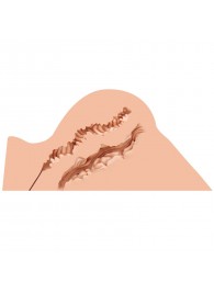 Мастурбатор-полуторс Naked Factory Hannah - Naked Factory - в Новошахтинске купить с доставкой