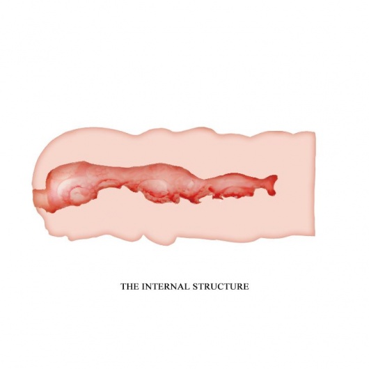 Телесный мастурбатор-вагина Isabel - Baile - в Новошахтинске купить с доставкой