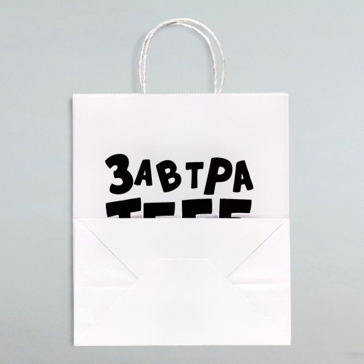 Подарочный пакет  Завтра тебе будет стыдно  - 30 х 24 см. - UPAK LAND - купить с доставкой в Новошахтинске