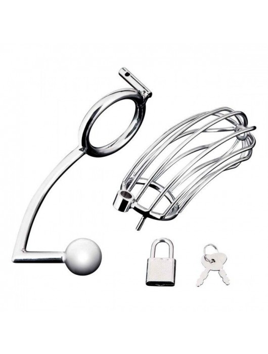 Серебристая металлическая клетка с анальным стимулятором Cock Cage - BlueLine - купить с доставкой в Новошахтинске