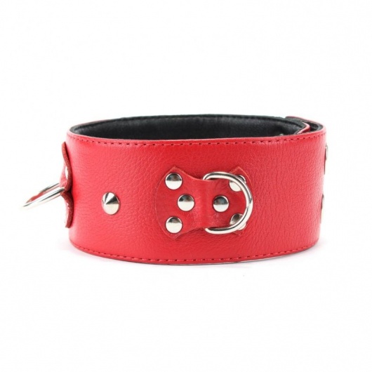 Красный кожаный ошейник с короткими шипами - БДСМ Арсенал - купить с доставкой в Новошахтинске