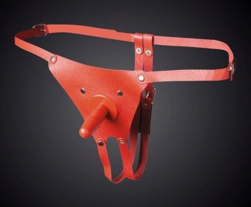 Красные кожаные универсальные трусики со штырьком для насадок - Sitabella - купить с доставкой в Новошахтинске