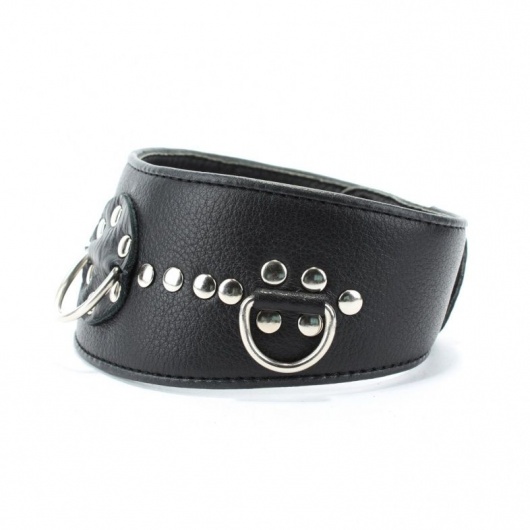 Чёрный кожаный ошейник с полукольцами и клёпками - БДСМ Арсенал - купить с доставкой в Новошахтинске