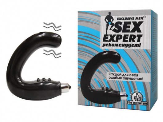 Чёрный массажёр простаты серии Sex Expert - Sex Expert - в Новошахтинске купить с доставкой