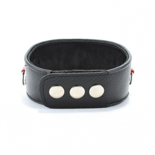 Кожаный ошейник с металлическими клепками - БДСМ Арсенал - купить с доставкой в Новошахтинске