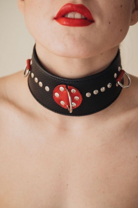 Кожаный ошейник с металлическими клепками - БДСМ Арсенал - купить с доставкой в Новошахтинске