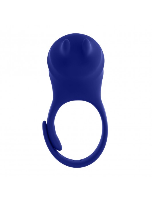 Синее эрекционное виброкольцо с клиторальной подушечкой и пультом ДУ Adjustable Fun Ring - Zero Tolerance - в Новошахтинске купить с доставкой