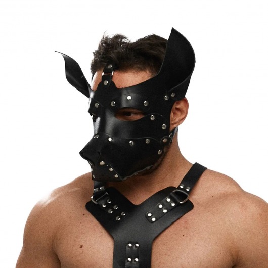 Черная кожаная маска «Собака» - Crazy Handmade - купить с доставкой в Новошахтинске