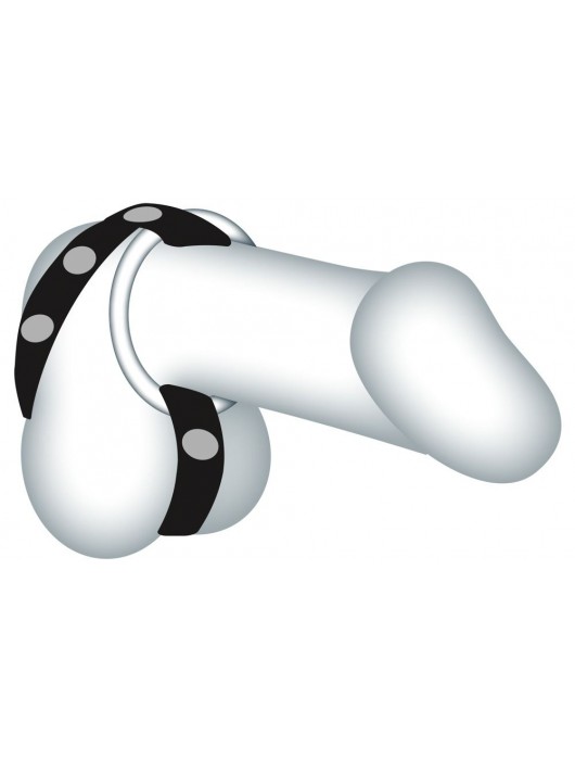 Подхват для мошонки с 3 съемными эрекционными кольцами Leder-Riemen - Orion - в Новошахтинске купить с доставкой