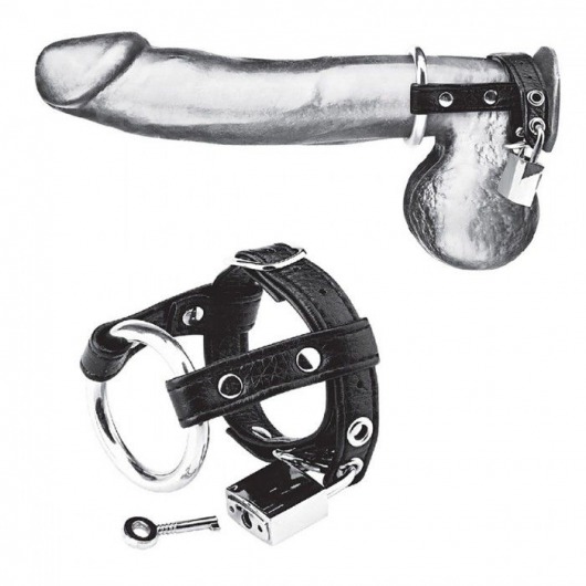 Утяжка на пенис на замочке Duo Cock And Ball Lock - BlueLine - купить с доставкой в Новошахтинске