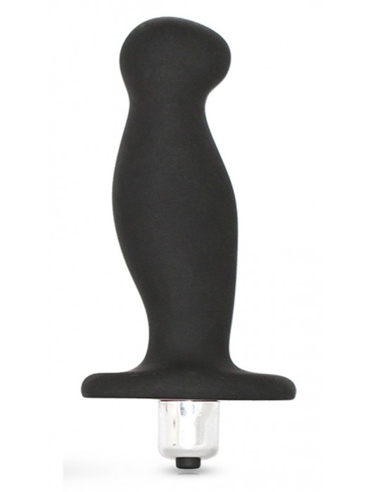 Чёрный вибростимулятор простаты Performance Prostimulator - Blush Novelties - в Новошахтинске купить с доставкой