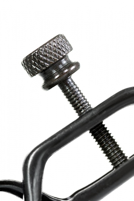 Черно-золотистые зажимы для сосков TOYFA Theatre - ToyFa - купить с доставкой в Новошахтинске