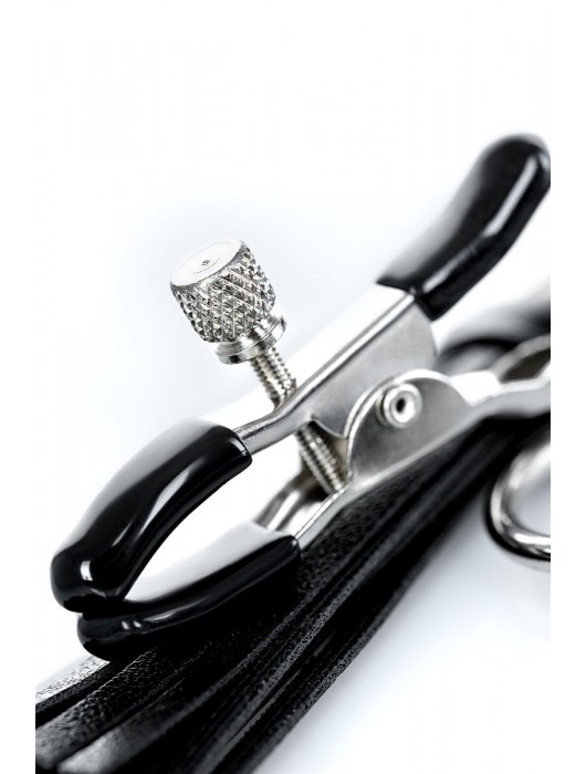 Черно-серебристые зажимы для сосков Theatre с кисточками - ToyFa - купить с доставкой в Новошахтинске